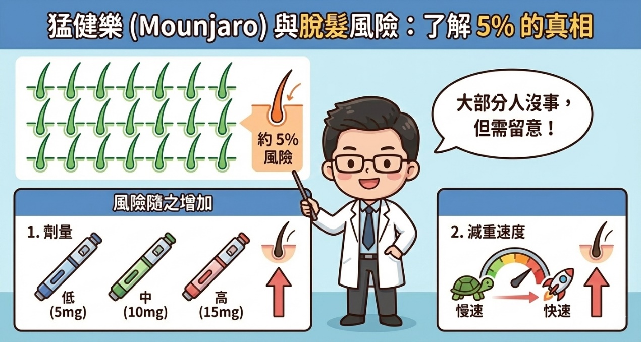 急速減重與掉髮